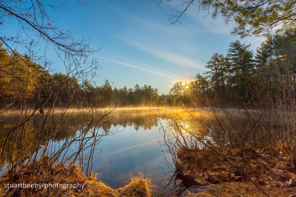 12819425_10153802821640660_1256010740045818067_o