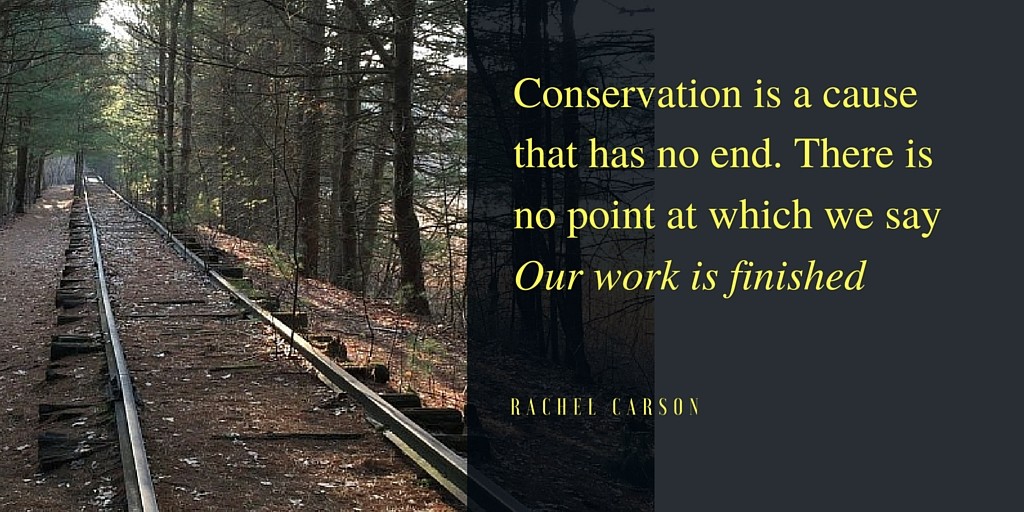 Conservation carson quote