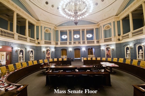 senate floor copy