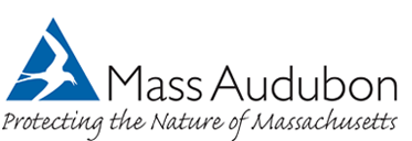 massaudubon